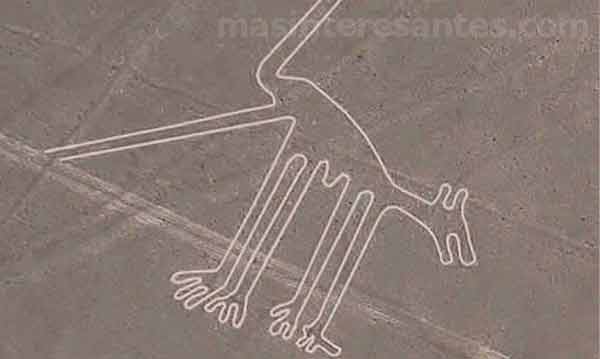 Los geoglifos de las Líneas de Nazca