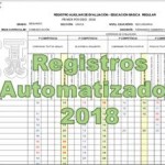 Registros Auxiliares Automatizados 2018