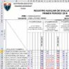 Registro Auxiliar 2016 automatizado de secundaria