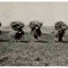 Campesinos cusqueños en actividades agrícolas