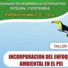 Incorporación del Enfoque Ambiental en el PEI
