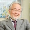 Yoshinori Ohsumi, Premio Nobel de Medicina 2016