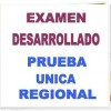 Examen Desarrollado Prueba Única Regional 2009