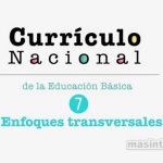 Conozca los 7 enfoques transversales de la educación peruana.