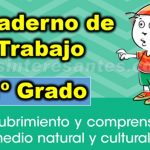 cuaderno de trabajo de cta primer grado