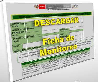 Descargar Ficha de Monitoreo