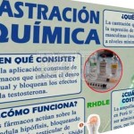 Infografía de Castración Química