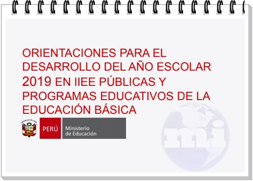 Desarrollo del Año Escolar 2019