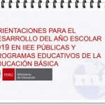Desarrollo del Año Escolar 2019