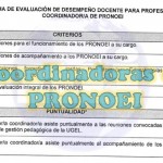 Fichas de evaluacion para Coordinadoras de PRONEI