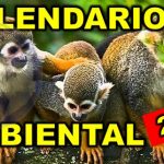 calendario ambiental 2020