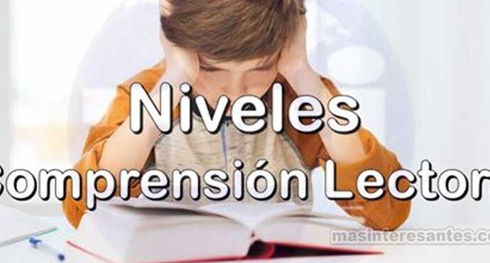 Conozca los principales niveles de la Comprensión Lectora