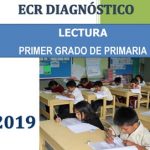 evaluacion censal regional 2019 comunicacion