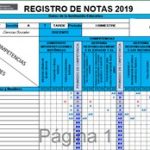 registro auxiliar 2019