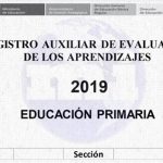 registro auxiliar 2019 para primaria