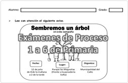 examenes de proceso primaria