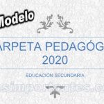 carpeta pedagogica