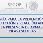 armas en las escuelas
