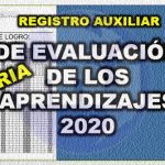 registro auxiliara 2020 word