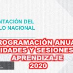 implementacion del curriculo nacional 2020