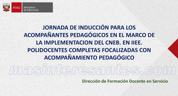 induccion acompañantes pedagogicos 600