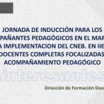 induccion acompañantes pedagogicos 600