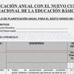 Planificacion Anual para primaria
