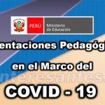 cartilla orientaciones pedagogica covid 19 dengue