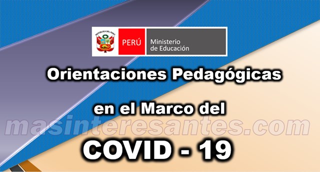 cartilla orientaciones pedagogica covid 19 dengue