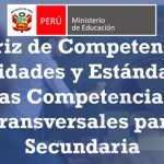matriz de competencias capacidades y estandares