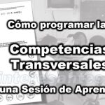 programar competencias transversales