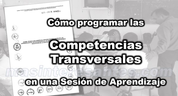 programar competencias transversales