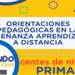 orientaciones pedagogicas en ensenanza aprendizaje a distancia