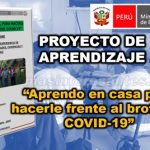 proyecto aprendizaje aprendo en casa
