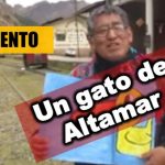 cuento un gato de altamar