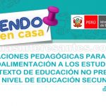 orientaciones pedagógicas para brindar la retroalimentación