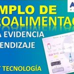 ejemplo de retroalimentación en el área de cta