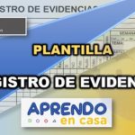 formato registro de evidencias