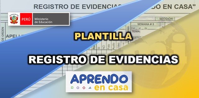 formato registro de evidencias