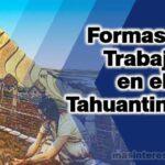 Formas de trabajo en el Tahuantinsuyo