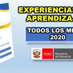 experiencias de aprendizaje Aprendo en casa 2020