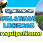 significado palabras lonccas arequipeñismos