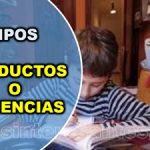 tipos de productos o evidencias