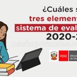 elementos del sistema de evaluación 2020 2021