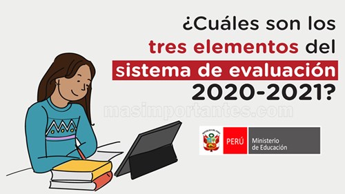 elementos del sistema de evaluación 2020 2021