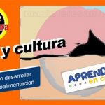como desarrollar la retroalimentación en arte y cultura