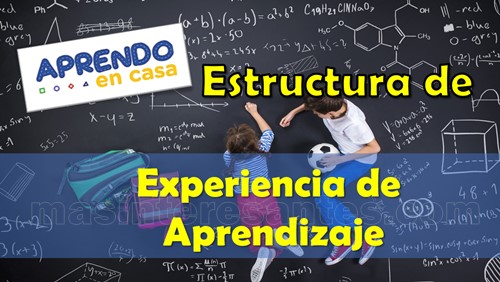 Estructura de una experiencia de prendizaje en Aprendo en casa