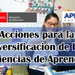 Acciones para la Diversificacion de la experiencia de aprendizaje