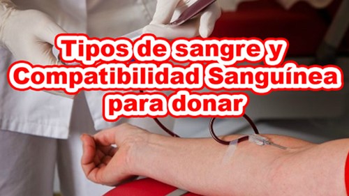 Tipos de sangre para donar y compatibilidad sanguínea