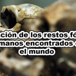 ubicacion de los restos fosiles humanos en el mundo